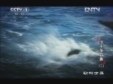 动物世界 《动物世界》 20121227 猎手争霸赛 （二）