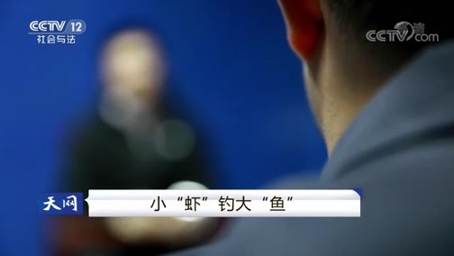 天网 《天网》 20190130 小“虾”钓大“鱼”
