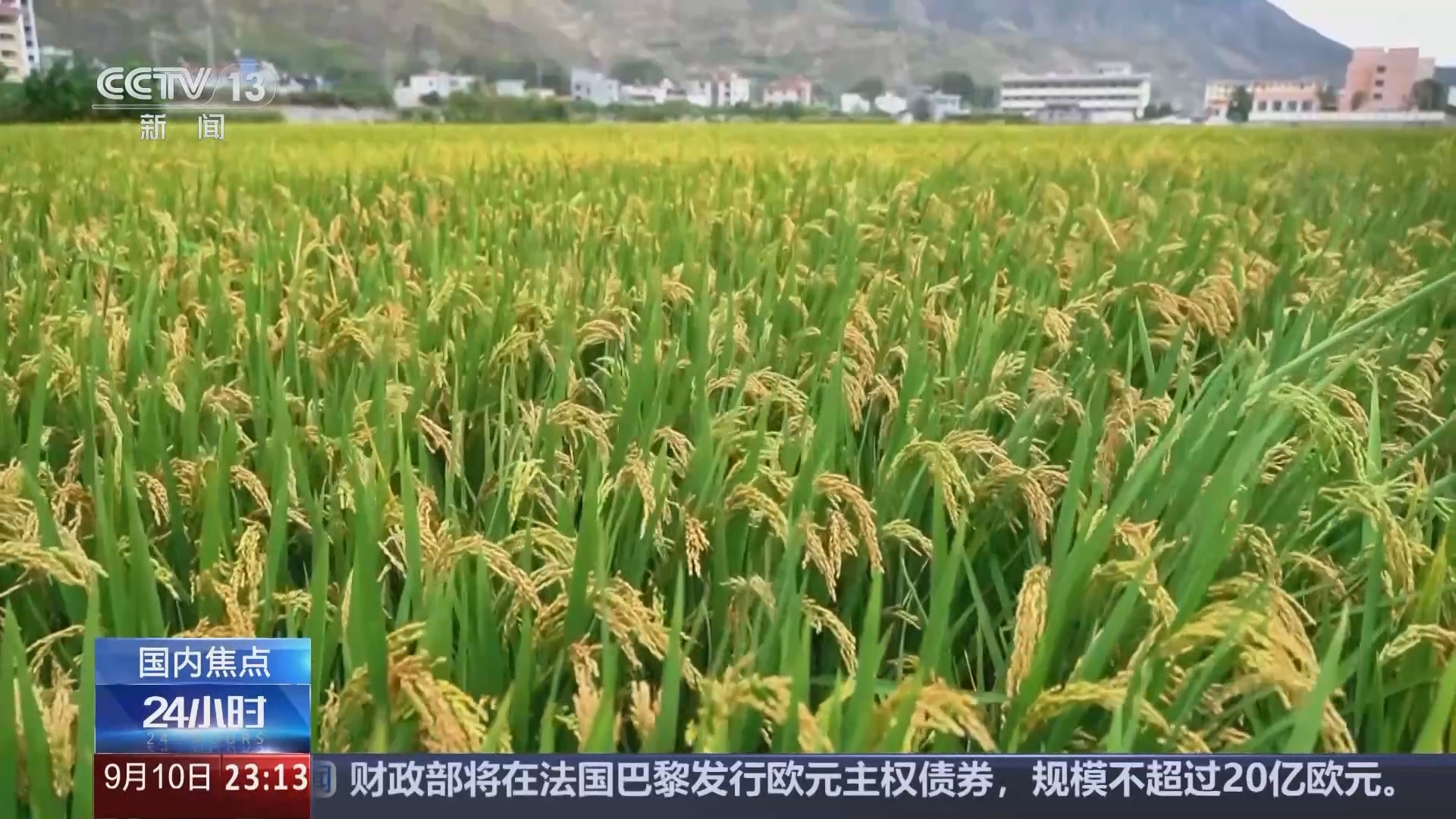 24小时 《24小时》 20240910