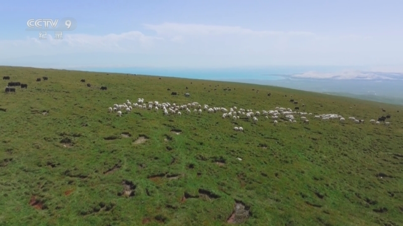 《凌云壮志》 第3集 惊雷