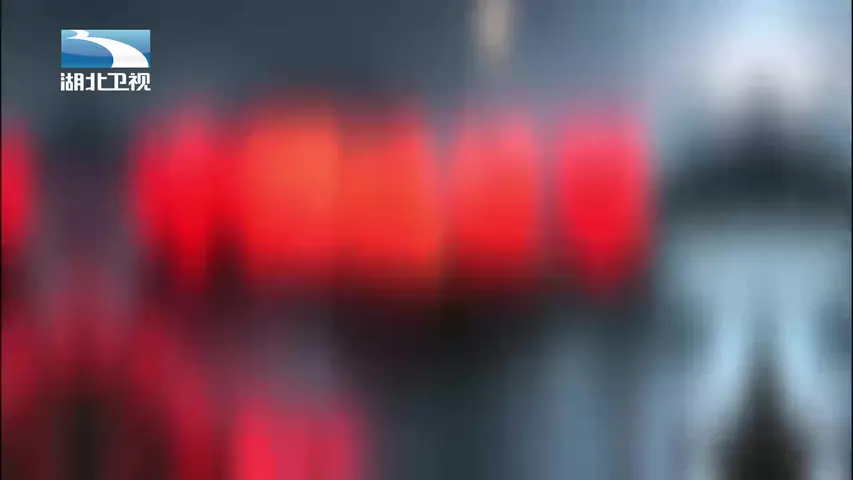 《中国远征军》第5集