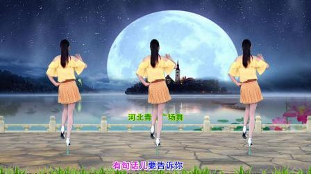 流行DJ广场舞及教学 第三季 经典老歌DJ广场舞《长相依》32步演示分解