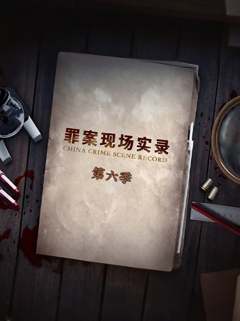 罪案现场实录 第六季 海报