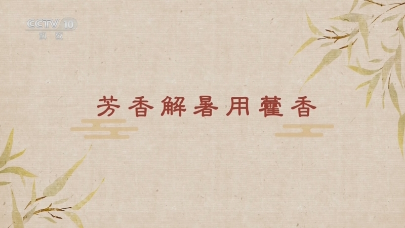百家讲坛 《百家讲坛》 20260129 舌尖上的养生（第三部） 9 芳香解暑用藿香