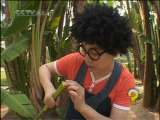 芝麻开门【央视】 芝麻开门 2010年 第103期