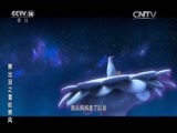 周末动画片 《周末动画片》 20151025 19：00