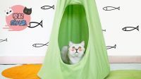 举起爪儿来 DIY猫咪吊床 猫咪在家也能葛优瘫啦 25