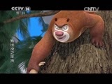 周末动画片 《周末动画片》 20150621 19:10