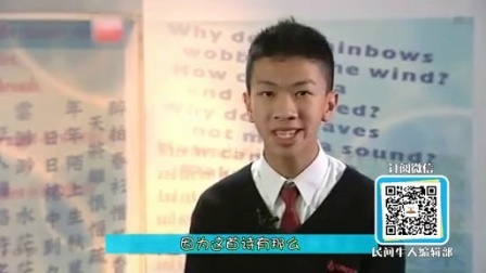 民间牛人 牛人战春晚 惊爆感官的视听盛宴 83
