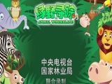 绿野寻踪 《绿野寻踪》 20180505