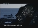 《时代写真》 20110209 《时光》 第八集 远去的渔村