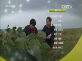 我爱发明 《我爱发明》 20160428 洗澡吧 空调