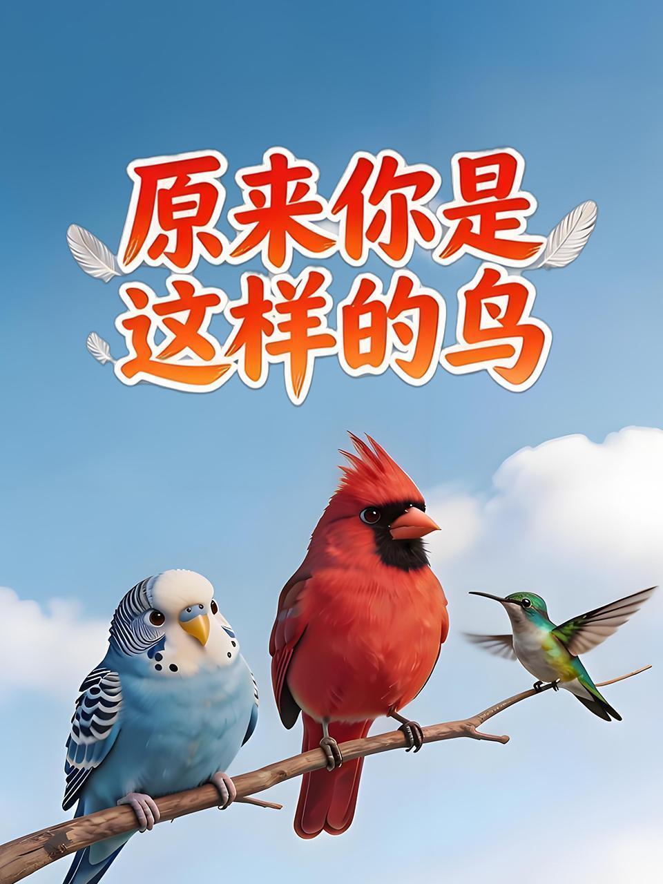 原来你是这样的鸟