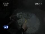 天网 《天网》 20161205 案发年关