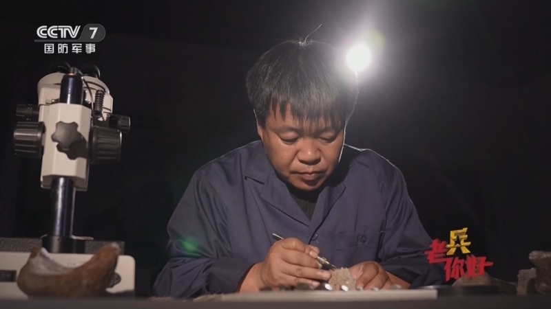 《老兵你好》 20251108 沈凤斌：与恐龙对话的人