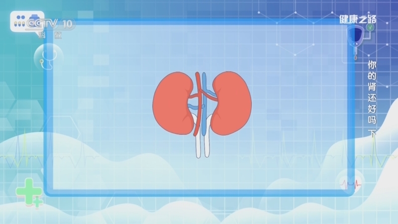 《健康之路》 20260318 你的肾还好吗(下)