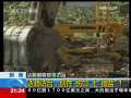 新闻1+1 达赖访台，别在“伤口”上“撒盐”！
