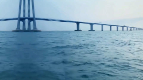 探寻海洋世界