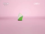 小小智慧树 《小小智慧树》 20160419