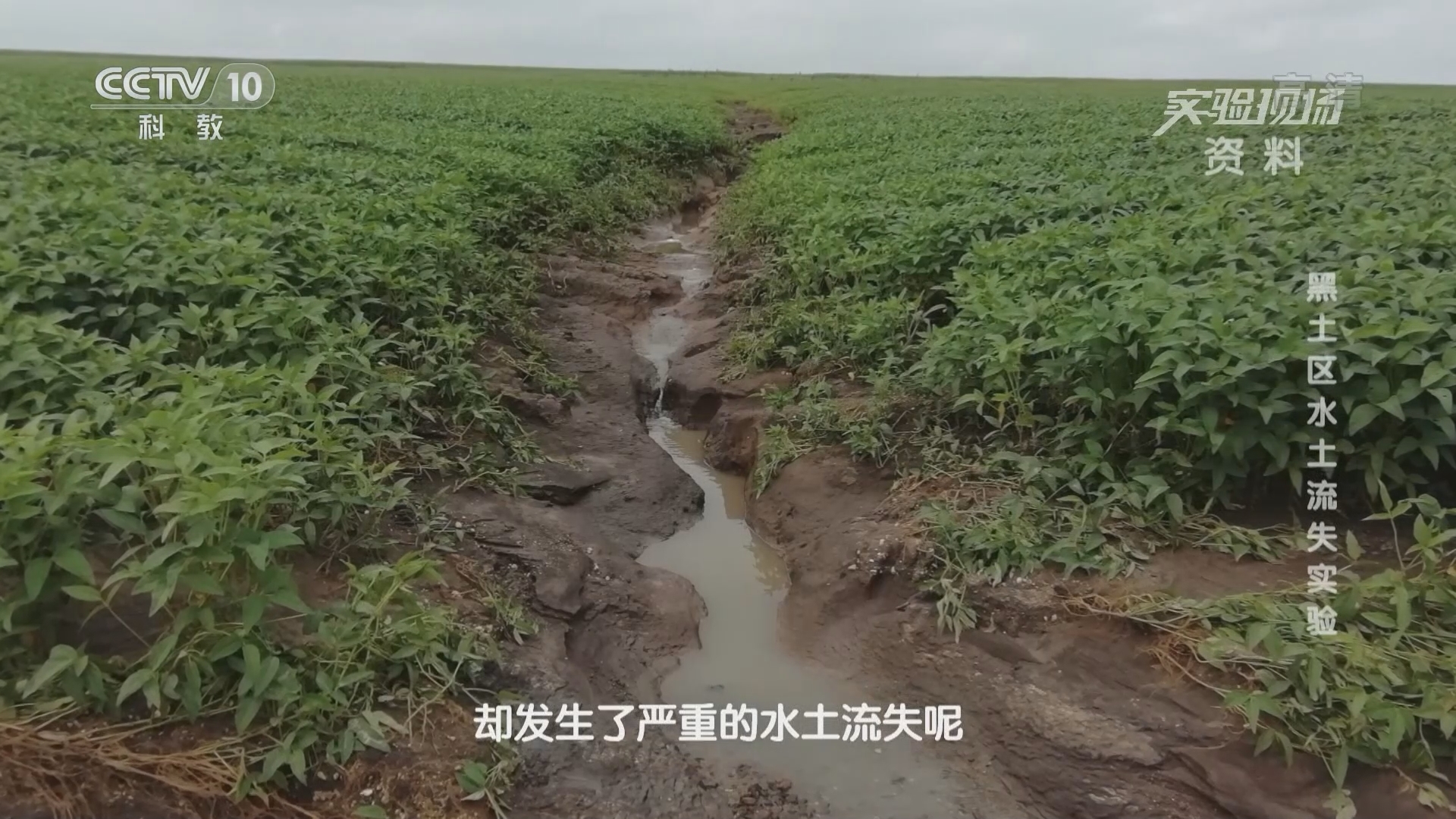 《实验现场》 20211205 黑土区水土流失实验