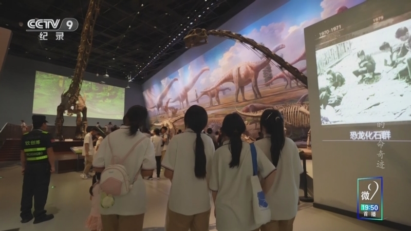 《5亿年 岩石里的生命奇迹 第一季》 第11集 马门溪龙