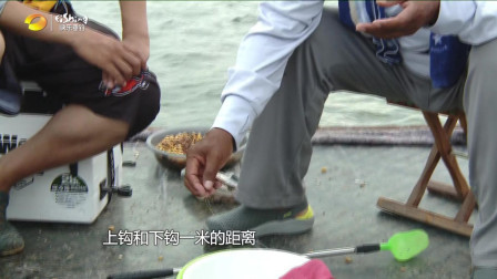 垂钓学院 第一季 垂钓学院: 作钓水库, 对象鱼为草鱼, 化老师教你好技法!