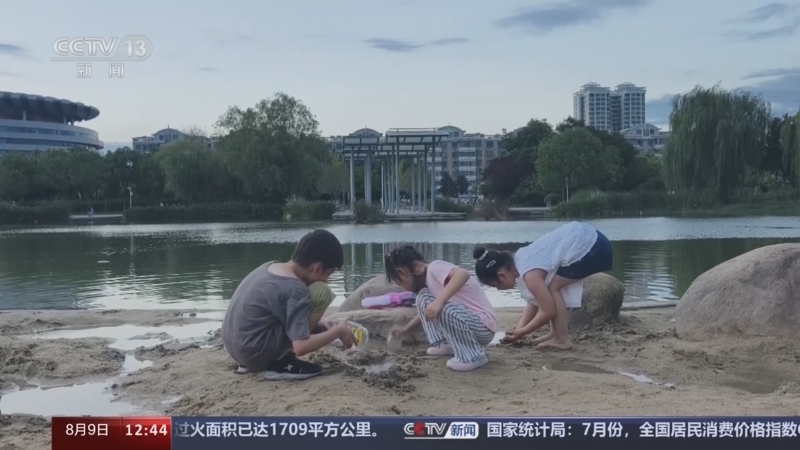 法治在线 《法治在线》 20240809