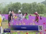 热线12 《热线12》 20180618