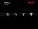 动物世界 《动物世界》 20111119