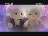 智慧树 《智慧树》 20140812