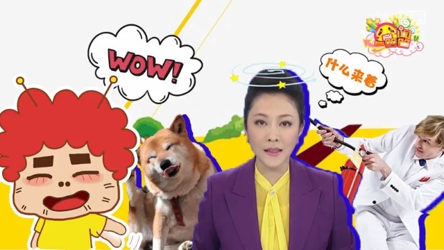 囧闻一箩筐 央视有个神奇主播，出错出到地动山摇【囧闻一箩筐】