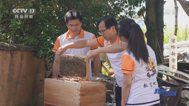 我爱发明 《我爱发明》 20221021 蜜蜂新管家