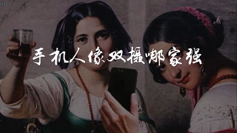FView 手机人像双摄哪家强