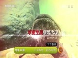 地理中国 《地理中国》 20170201 山河春色·鄂西奇峡