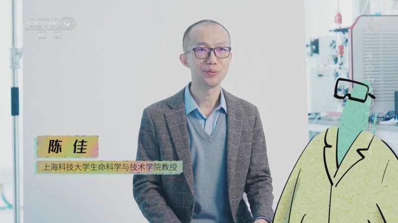 《生命如何影响生命》 第4集