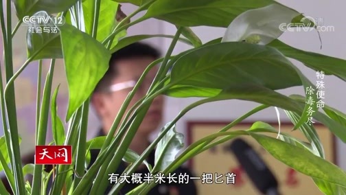 天网 《天网》 20200529 特殊使命 除毒务尽