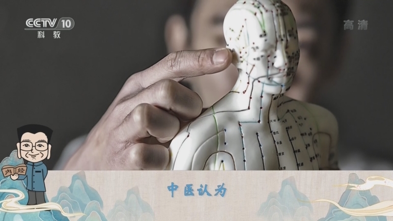 百家讲坛 《百家讲坛》 20220303 了不起的《黄帝内经》 2 心火从何而来