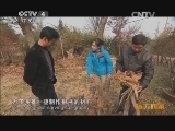远方的家 百山百川行 第一百九十五集 别样大别山 《远方的家》 20140130
