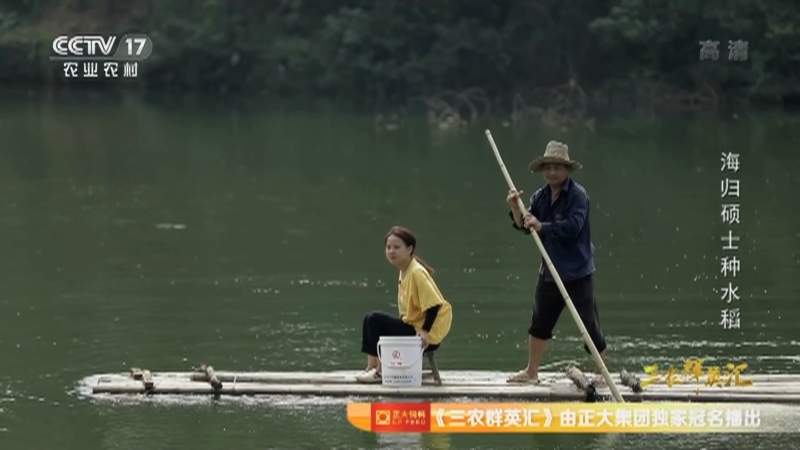 三农群英汇 《三农群英汇》 20201213 海归硕士种水稻