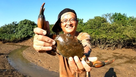 思乡渔夫赶海 工具人都回家过年了，渔夫一人赶海发大财，螃蟹越抓越大了！