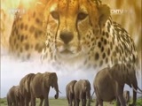 人与自然 《人与自然》 20160703 冰川湾（上）