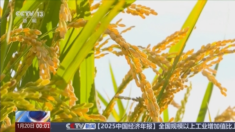 《午夜新闻》 20260120