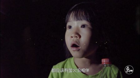 二更视频 森林向你眨眼睛 这个夏天 萤火虫唱歌给你听 822
