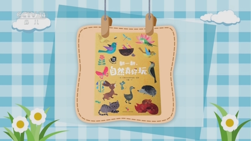智慧树 《智慧树》 20240902