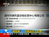 新闻1+1 《新闻1+1》 20170911 “病死猪”，到底该怎么处理？