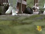 文化十分 《文化十分》 20160613