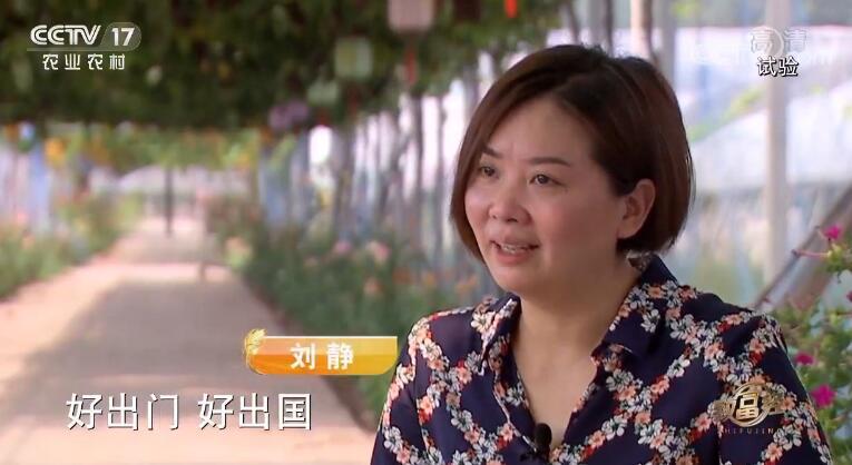 致富经 《致富经》 20190916 葡萄架下父女兵