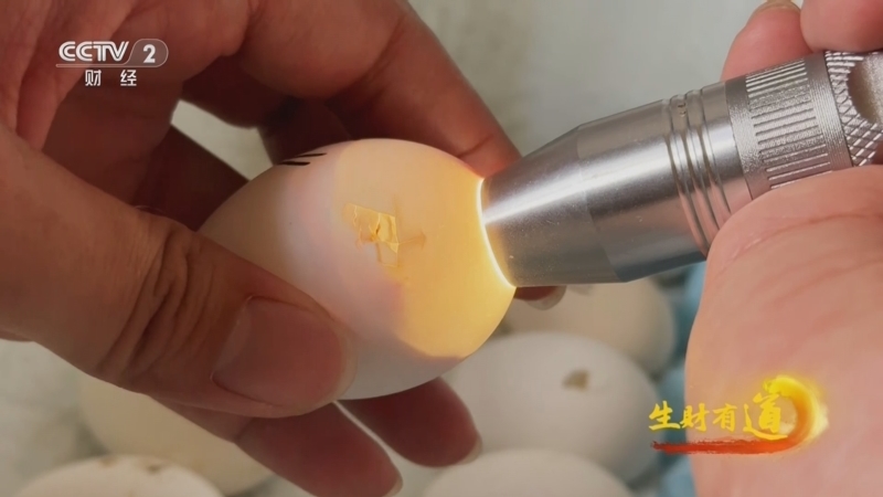 生财有道 《生财有道》 20250731 “美丽经济”火 筑梦故乡人