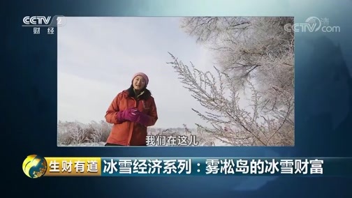 生财有道 《生财有道》 20190118 冰雪经济系列：雾凇岛的冰雪财富