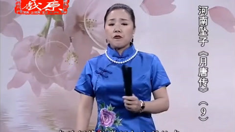 河南坠子 河南坠子《月唐传》